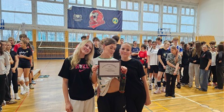 Powiększ grafikę: szkolny-turniej-siatkowki-666404.jpg