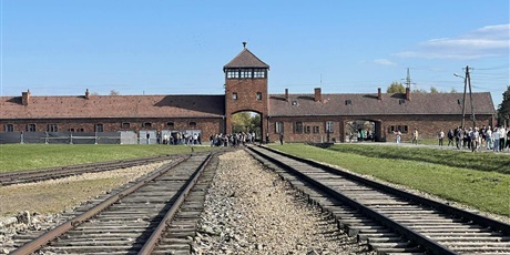 Powiększ grafikę: wycieczki-do-krakowa-650083.jpg