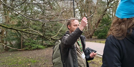 Powiększ grafikę: zielona-edukacja-680922.jpg